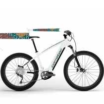 Bicicleta Eléctrica Corratec E-Power X-Vert CX6 LTD Gent Blanco-Rainbow
