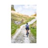 Culote con Tirantes Northwave ACTIVE WOMAN