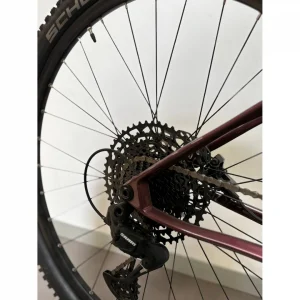Bicicleta Corratec Revo Bow Marrón