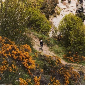 Cubierta Gravel Endurance. Terreno T60 Mixed Gravel 700x40 TLR Hookless Negro